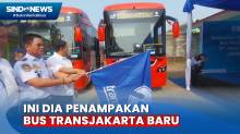 Transjakarta Tambah 73 Unit Bus Medium dari Operator Baru, 12 Mengaspal Hari Ini