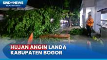 Hujan Deras Disertai Angin Kencang Landa Kabupaten Bogor, 6 Pohon Tumbang