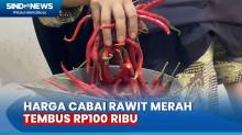Harga Cabai Rawit Merah Tembus Rp100 Ribu per Kg, Omzet Pedagang Turun 60 Persen