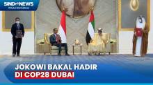 Presiden Jokowi Dijadwalkan Bakal Hadiri COP28 di Dubai