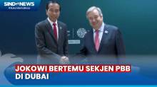 Bertemu di Dubai, Presiden Jokowi dan Sekjen PBB Bahas Situasi di Gaza