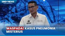 Soal Kasus Pneumonia Misterius, Menparekraf Sandiaga Uno: Indonesia Masih Terkendali
