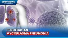 Kasus Mycoplasma Pneumonia Ditemukan di RI, Waspada tapi Jangan Panik!