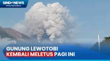 Gunung Lewotobi Kembali Erupsi, Semburkan Abu Vulkanik Setinggi 1.500 Meter
