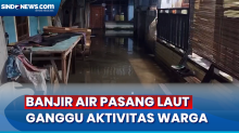 Banjir Air Pasang Laut Rendam Kampung Nelayan, Aktivitas Warga Terganggu