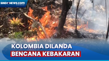 Kebakaran Hutan di Kolombia Memburuk akibat Fenomena Cuaca El Nio
