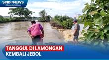 Puluhan Hektare Tambak di Lamongan Terendam Banjir Dampak Tanggul Jebol