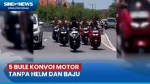 5 Bule Konvoi Motor dan Ugal-Ugalan Tanpa Helm dan Baju di Bali