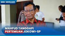 Tanggapi Pertemuan Jokowi dan Surya Paloh, Mahfud: Politik Biasa, Tapi Jaga Demokrasi