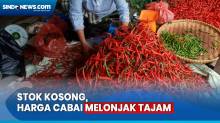 Stok Kosong, Harga Cabai di Sumatera Utara Melonjak Tajam