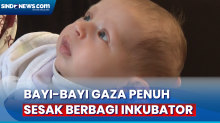 28 Bayi Prematur di Raffah, Gaza Terpaksa Diungsikan ke Mesir