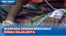 Waspada, 9 Orang Meninggal Akibat Demam Berdarah di Jombang, Mayoritas Anak-Anak