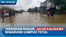 Arus Lalu Lintas Jalur Kaligawe Semarang Lumpuh Total usai Terendam Banjir