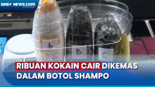Polisi Ungkap Ribuan Gram Kokain Cair dalam Botol Shampo yang Akan Diedarkan di Bali