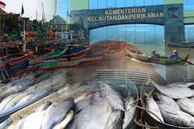 Sambut Lebaran, KKP Salurkan Sedekah Ikan