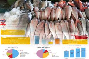KKP Ekspor 28 Ton Ikan Kerapu Hidup ke Hongkong