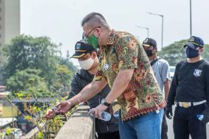 Anggota DPRD DKI Minta Flyover dan Trotoar Jalan di Jakarta Barat Hijau dan Asri