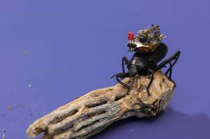 Wow, Akademisi Ciptakan Kamera Terkecil di Dunia yang Bisa Dibawa Serangga