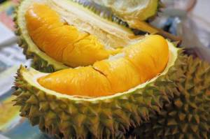 Durian dan Kelapa Turut Membuat Neraca Perdagangan Surplus