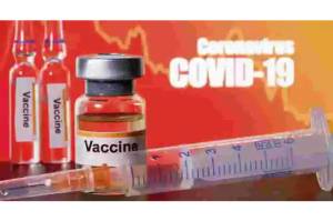 India Produksi Vaksin COVID-19 di Bulan Agustus, Harganya di Bawah Rp200.000