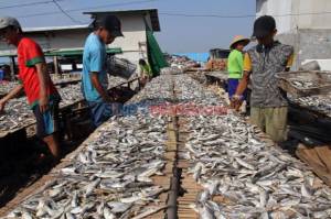 Pakai OSS, Urus Ijin Pengolahan Ikan Tak Perlu Tatap Muka dan Gratis