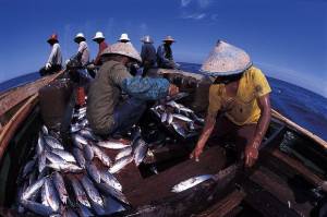 Ini Dia Kartu Sakti agar BBM Subsidi buat Nelayan Tak Berceceran