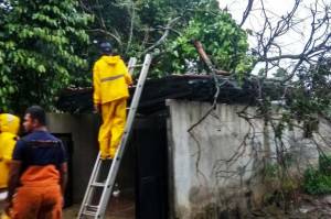 2 Rumah Warga di Kota Depok Tertimpa Pohon Tumbang