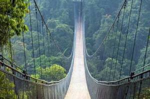 Dibayarin APBN, Jembatan Gantung Situ Gunung Terpanjang di Asia Tenggara