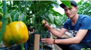 Ajak Milenial Bertani, Kang Emil Kenalkan Petani Muda Berpenghasilan Rp20 Juta/Bulan