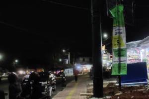 Satpol PP Ungkap Sejumlah Kendala Tertibkan Billboard Ilegal di Tangsel