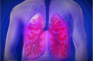 Ditemukan di Paru-paru, Sel Tubuh Ini Meningkatkan Pertahanan Terhadap Virus