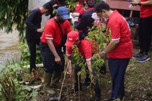 DPC PDIP Depok Tanam Ribuan Pohon Produktif di DAS Ciliwung