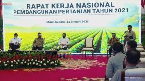 Penuhi Pangan bagi 273 Juta Penduduk Indonesia, Program Food Estate Dipercepat