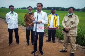 Jokowi Kesal Pangan Masih Impor, Mentan: Kami Minta Petunjuk Bapak
