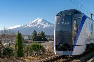 Setiap 8 Tahun Sekali, Jalur Kereta di Jepang Selalu Diserbu Ulat Kaki Seribu