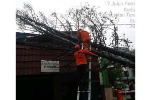Angin Kencang, Pohon Tumbang Timpa Rumah Makan di Bogor