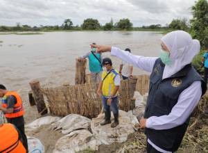 Tinjau Banjir Jombang, Gubernur Khofifah Ajak Masyarakat Jadi Relawan Jogo Kali