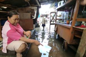 Ngeri, Setiap Datang Banjir Biawak dan Ular Sering Muncul di Pemukiman Warga