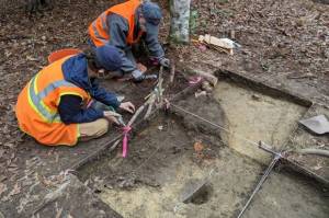 Arkeolog Temukan Pabrik Miras Ilegal Milik Rekan Al Capone di Hutan Carolina