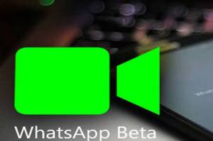 WhatsApp di Android Bisa Muter Video sebelum Dibagikan ke Pesan atau Status