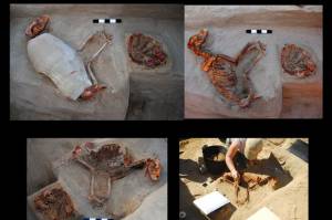 Arkeolog Temukan Pemakaman Hewan Peliharaan Kuno Berusia 2.000 di Mesir