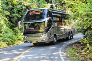 Belah Lintas Sumatera, Bisnis PO Bus  Butuh Penegakan Hukum