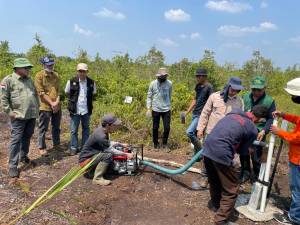 BRGM Targetkan Rehabilitasi 600.000 Ha Lahan Mangrove