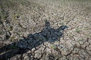 Perubahan Iklim, Madagaskar Diambang Kelaparan karena Curah Hujan Berubah