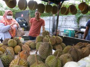 Menunggu Durian Runtuh Lagi di Masa Pandemi dengan Suzuki Carry