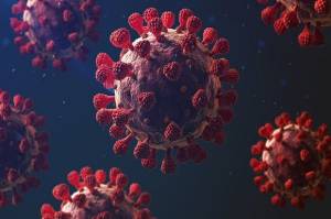 Bukti Baru Tunjukkan Virus Corona Bukan dari Kebocoran Laboratorium