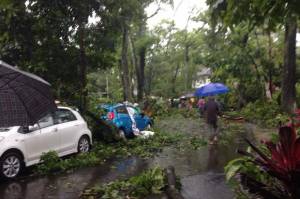 Cuaca Ekstrim, Depok Siagakan Satgas Pohon Tumbang