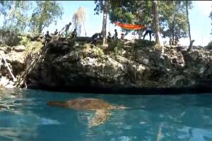 Sensasi Berenang Bersama Penyu di Danau Moko Kabupaten Muna