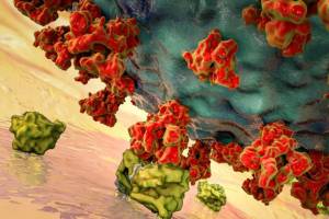 Ilmuwan Ungkap Kenapa Orang Gemuk Lebih Mudah Jadi Korban Virus COVID-19