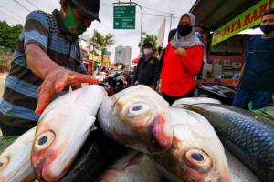 Usai Merger, Perindo Perkuat Bisnis Pengolahan dan Perdagangan Ikan